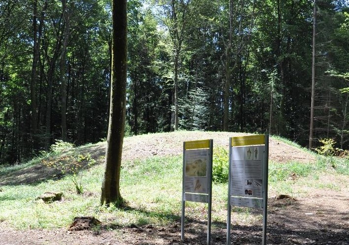 Keltengräber bei Dörflingen (CH) (W1)