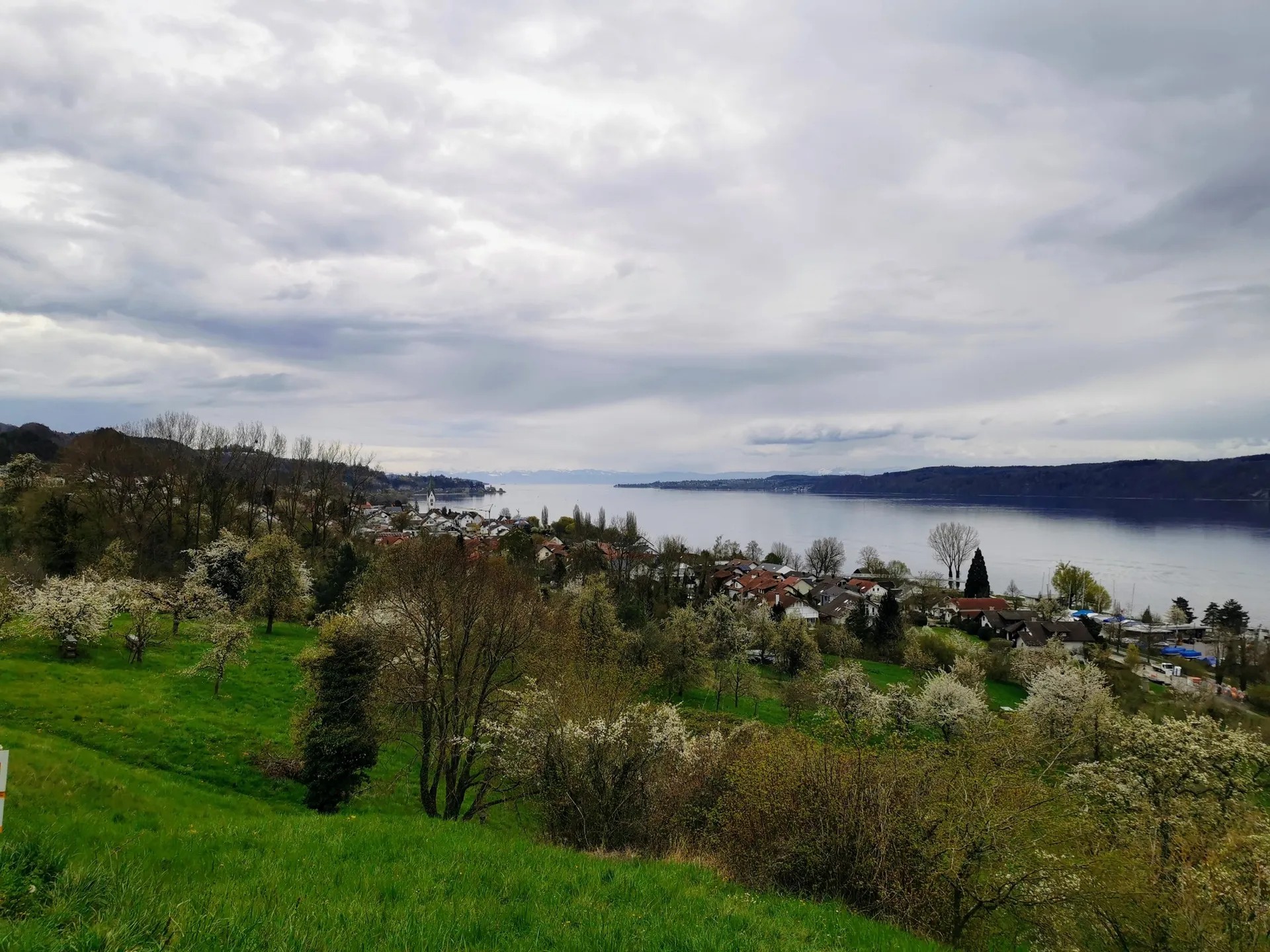 Blütenweg über den Haldenhof (W1)